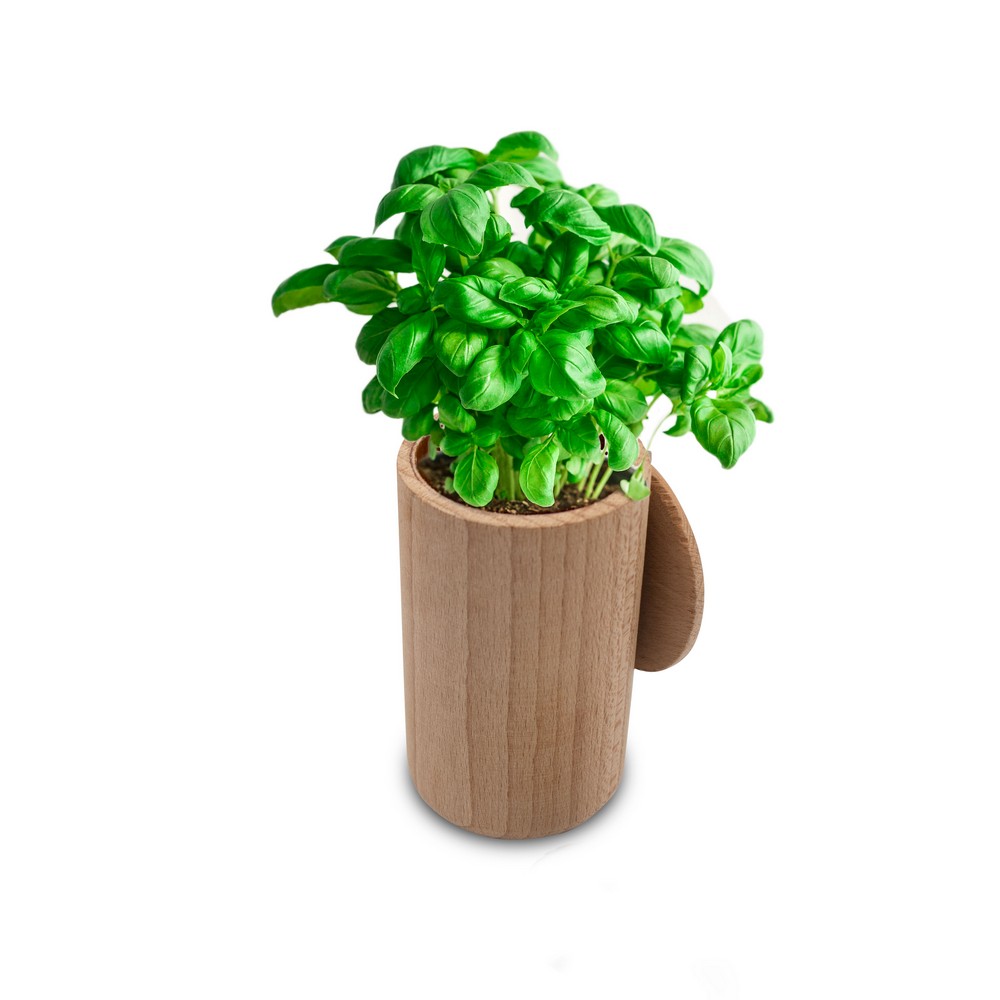 Pot  Plante graines de basilic et terre | Dottie